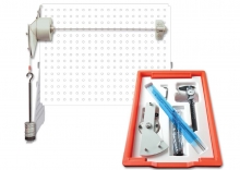 Torsion Curriculum and Experiments